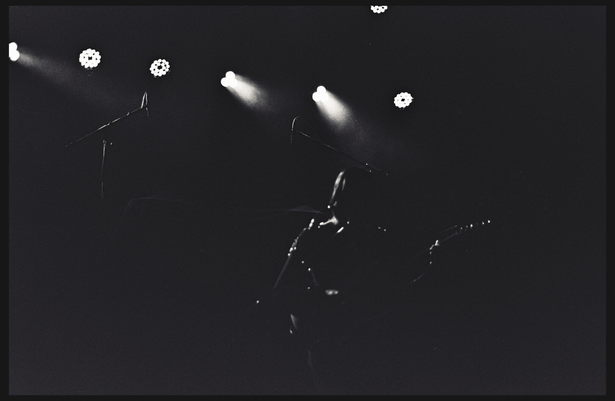 Midwife // Portland, Oregon // Nov. '24 // Contax RTS III, 50mm ƒ/1.4, Kentmere 400, Pyro 510